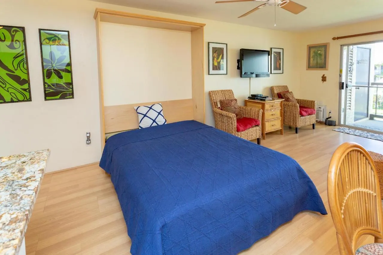 Hale Kamaole 209 Villa Wailea  Holiday home