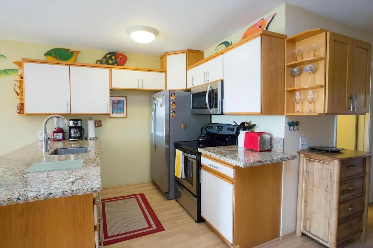 Hale Kamaole 209 Villa Wailea  Holiday home